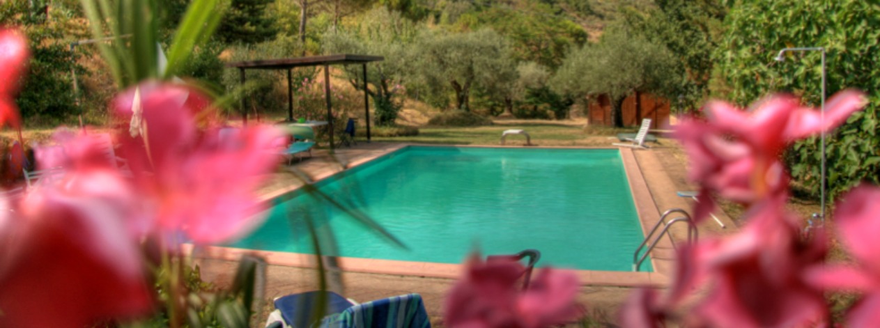 piscina 94a.JPG